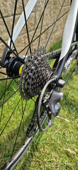 Prodám silniční kolo Cannondale Synapse vel.51 - 5