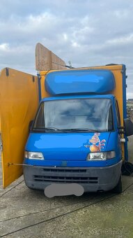 ❗️ Rychlé občerstvení kuřata ❗️ - 5