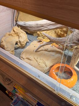 Prodám terárium - 5