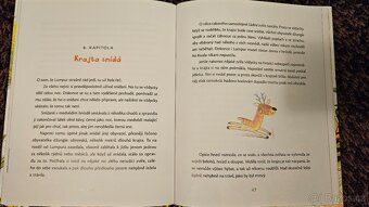 Taková medvědí rodinka + Velká medvědí cesta - 5