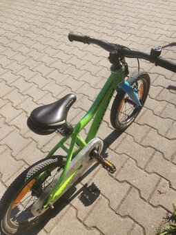 Author record 16 - 5