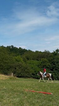 Valach aph x qh 2021 - 5