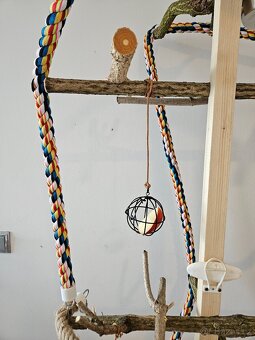 Ptačí Strom - 5
