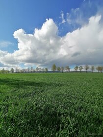 Pozemek v k.ú.Starý Rožmitál - INVESTIČNÍ NEMOVITOST  - 5