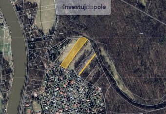 Prodej lesa v k.ú. Oseček, ev.č. 2025-08-07-1 - 5