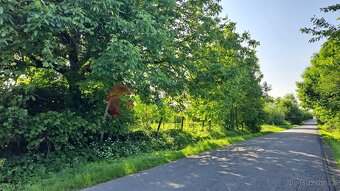 Prodej stavebního pozemku 606 m2, Těšice u Nezamyslic - 5