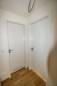 Dveře Dextüra se zárubněmi z novostavby (originál zabalené) - 5