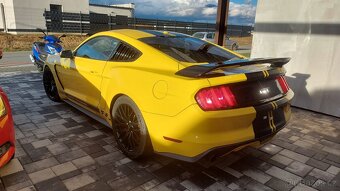 Ford Mustang GT Premium Performance V8 5.0 pronájem - 5
