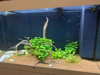 Akvárium Juwel Rio 360l - 5