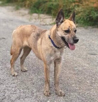 Evelyn hledá domov - 5