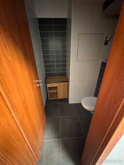 Pronájem komerčního prostoru - 5