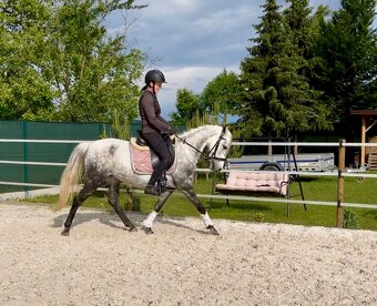 Pony klisna - 5