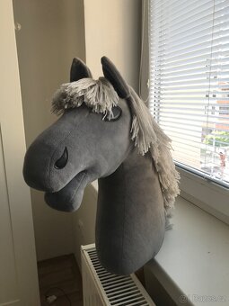 Hobby horse - 5