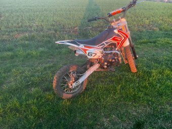 Pitbike 110 - 5