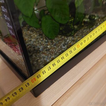 Akvárium, kompletní krásné - 5