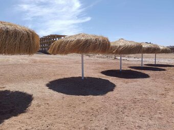 Studio s plazi Premier resort - 5