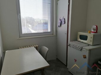 Pronájem bytu 1+1, Břidličná - 5