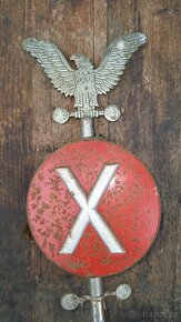 Znak X. všesokolský slet - 5