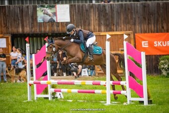 Klisna do sportu a chovu - 5