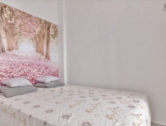Apartmán 2+kk – Španělsko / Torrevieja – La Mata - 5