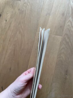 Alfons Mucha: Plakáty - 5