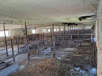 hala 500m2, bývalý prasečák + pozemek 2500m2 - 5
