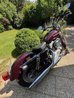 Harley-Davidson XL 883 C Sportster Custom koupeno v ČR - 5
