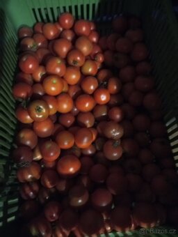 Brambory uskladnění,konzum, rajčata ringle, cukety, rajčata - 5