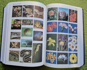 Malá ilustrovaná encyklopedie A-Ž - 5