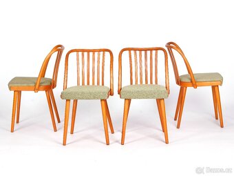 A. Šuman, přečalouněné dubové židle TON 4 kusy. - 5