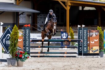 13ti letý valach ČT - 5