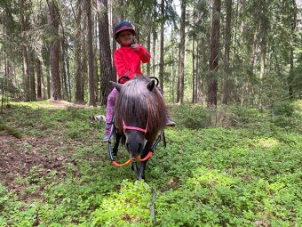 Docházku k mini-pony klisně - 5