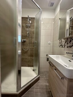 Pronájem bytu 3+1 65m² - 5