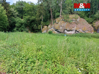 Prodej louky, 1003 m², Vysoká - 5