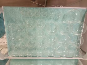 Masérské baňky - 5