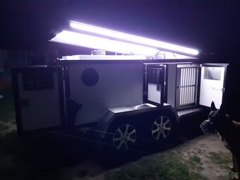 WT Mettal TH3 Vozík na psy - 5