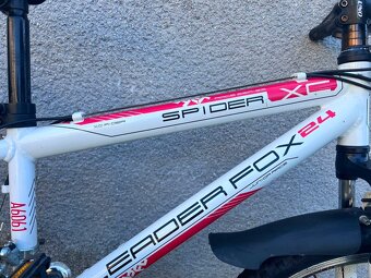 Leader Fox Spider - 5