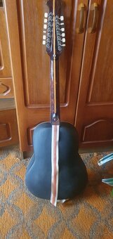 Kytara, dnanáctistrunná, akustická - 5