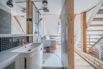 Pěkný atypický byt u parku Folimanka, OV - 5