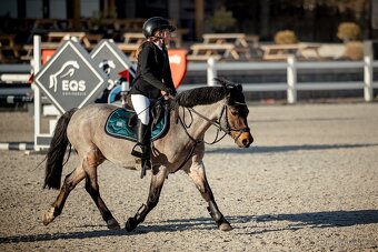 Charakterní první pony kat. S - 5
