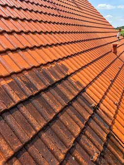 Čištění střech, fasád, dlažeb, FVE panelů - Kolín - 5