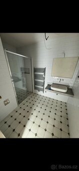 Ravak sprchova zastena BLSPD2 120cm - 5