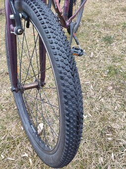 Amulet tomcat 24 - 5