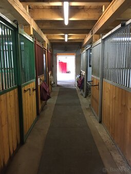 Ustájení koní - 5