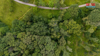 Prodej lesa, 3376 m², Višňová - 5
