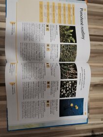 Akvárium, Okrasná jezírka - 5