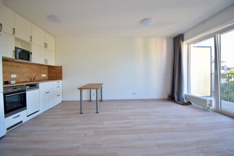 Pronájem bytu 1+kk, Hybešova, Staré Brno, 38 m2 - 5