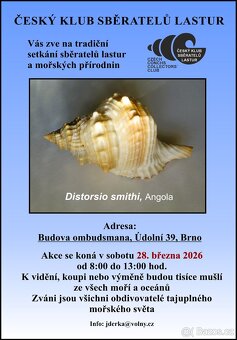 Gorgonie vějířovitá - 5