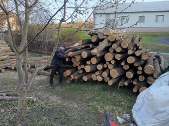 SEČENÍ TRÁVY - 5