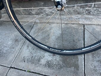 Cboardman M/L - 5